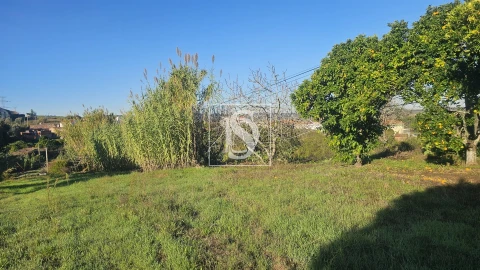 Terreno para Venda em Alqueidão