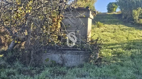 Terreno para Venda em Alqueidão