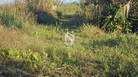 Terreno para Venda em Alqueidão