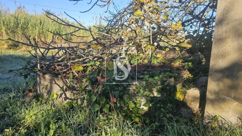 Terreno para Venda em Alqueidão