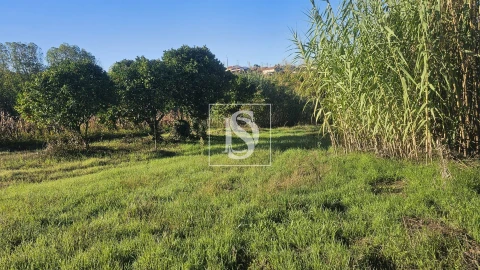 Terreno para Venda em Alqueidão