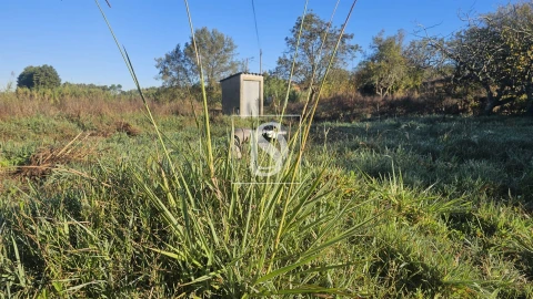 Terreno para Venda em Alqueidão