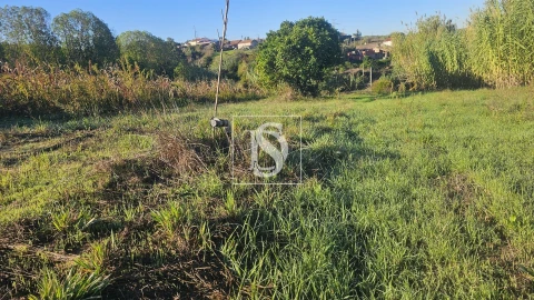 Terreno para Venda em Alqueidão