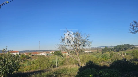 Terreno para Venda em Alqueidão