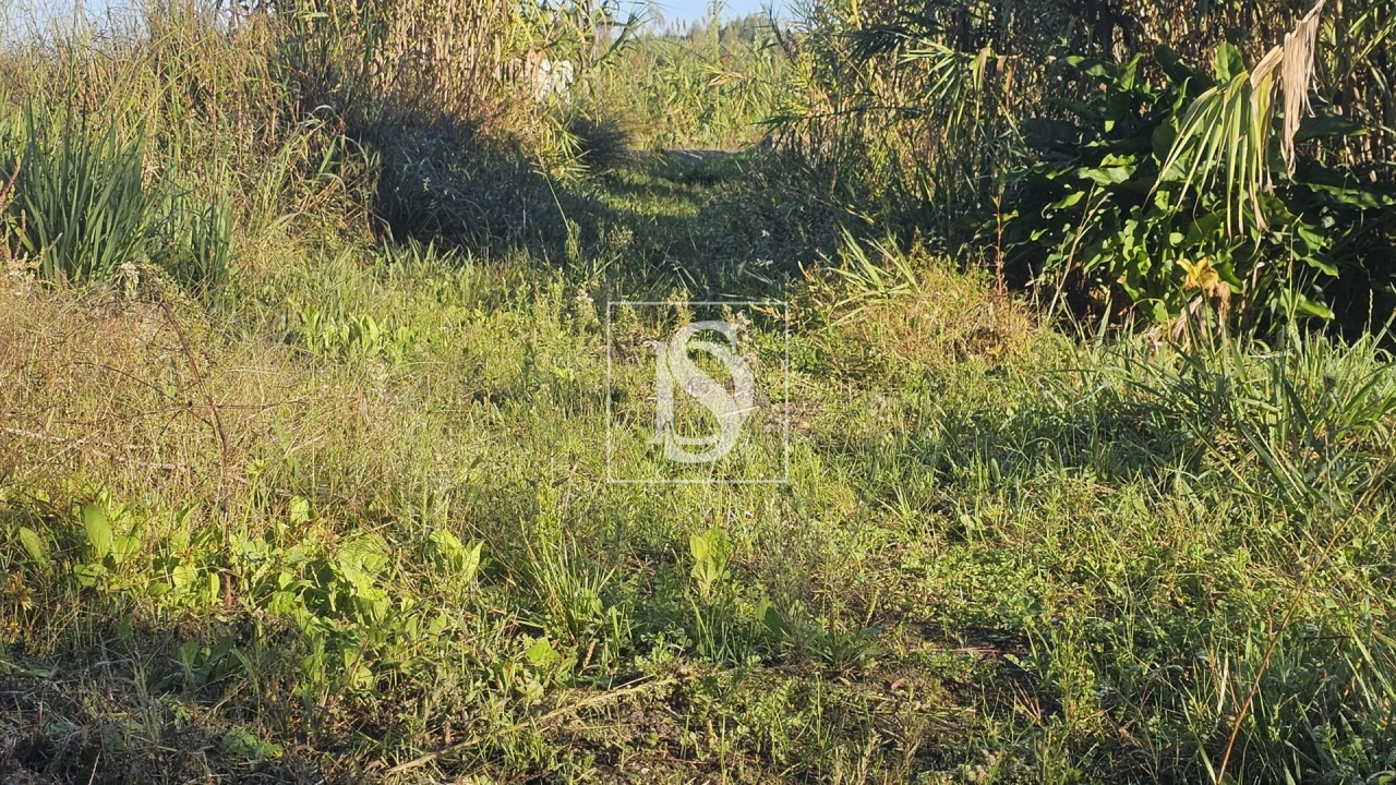 Terreno para Venda em Alqueidão Foto 38