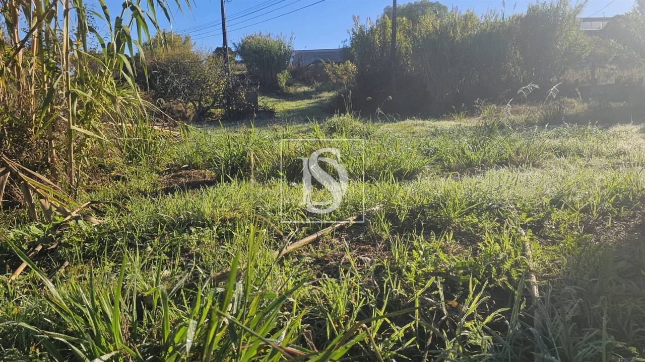 Terreno para Venda em Alqueidão Foto 2