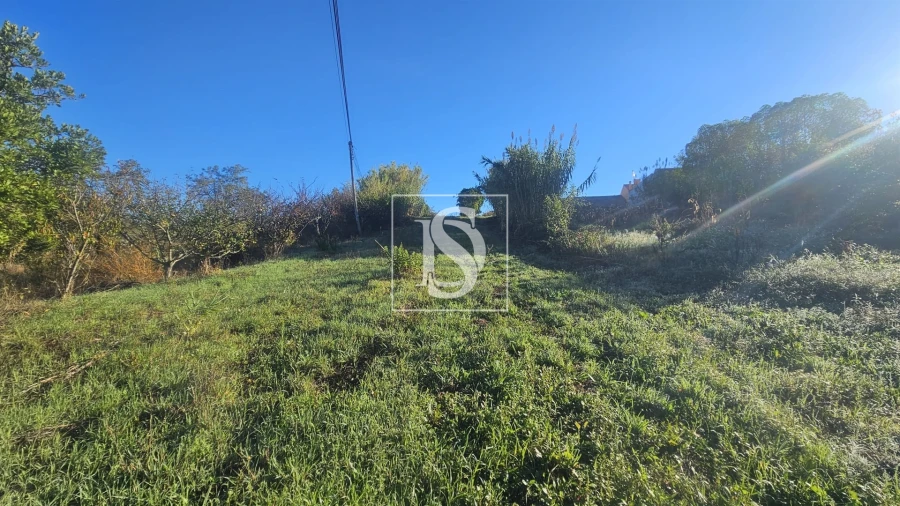 Terreno para Venda em Alqueidão Foto 4
