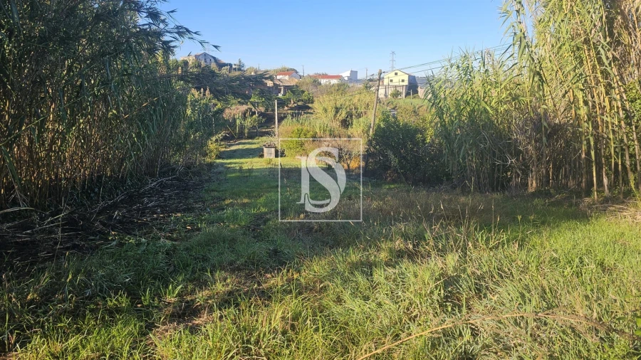 Terreno para Venda em Alqueidão Foto 14