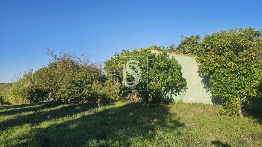 Terreno para Venda em Alqueidão Foto 25