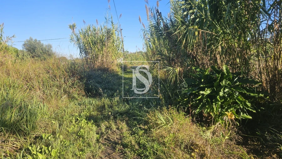 Terreno para Venda em Alqueidão Foto 3