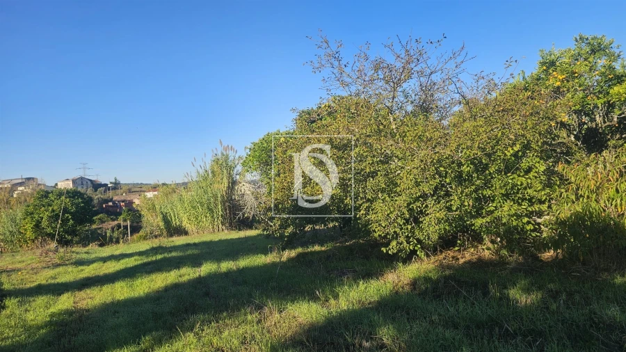 Terreno para Venda em Alqueidão Foto 20