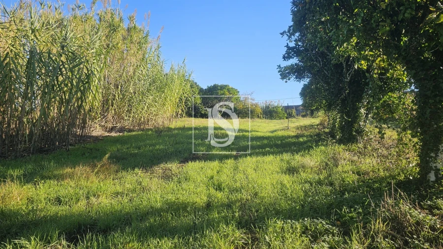 Terreno para Venda em Alqueidão Foto 13