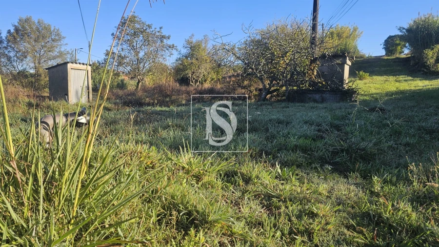 Terreno para Venda em Alqueidão Foto 6