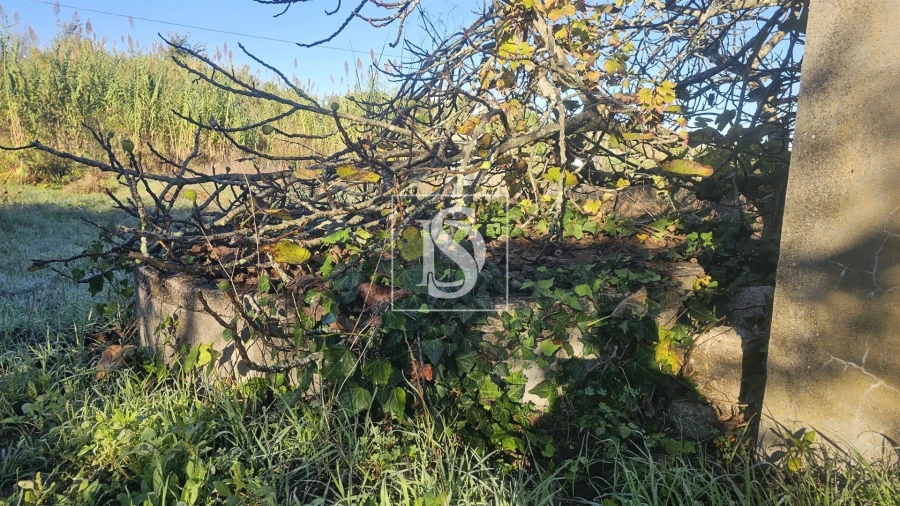 Terreno para Venda em Alqueidão Foto 7