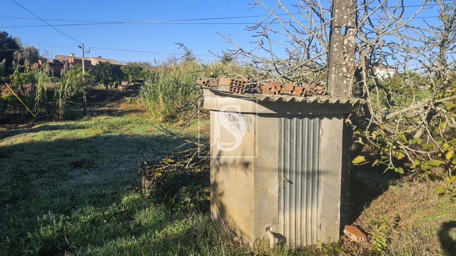 Terreno para Venda em Alqueidão Foto 5
