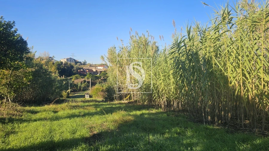 Terreno para Venda em Alqueidão Foto 18