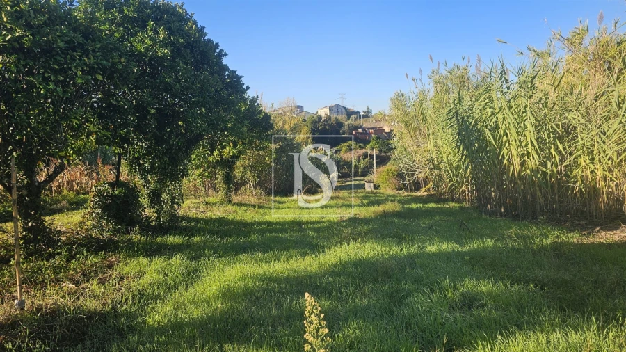 Terreno para Venda em Alqueidão Foto 15