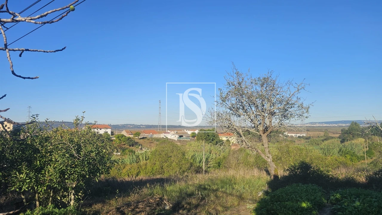 Terreno para Venda em Alqueidão Foto 16