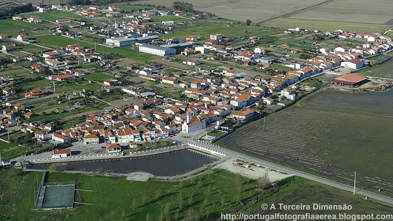 Moradia T1 para Venda em Ereira Foto 24