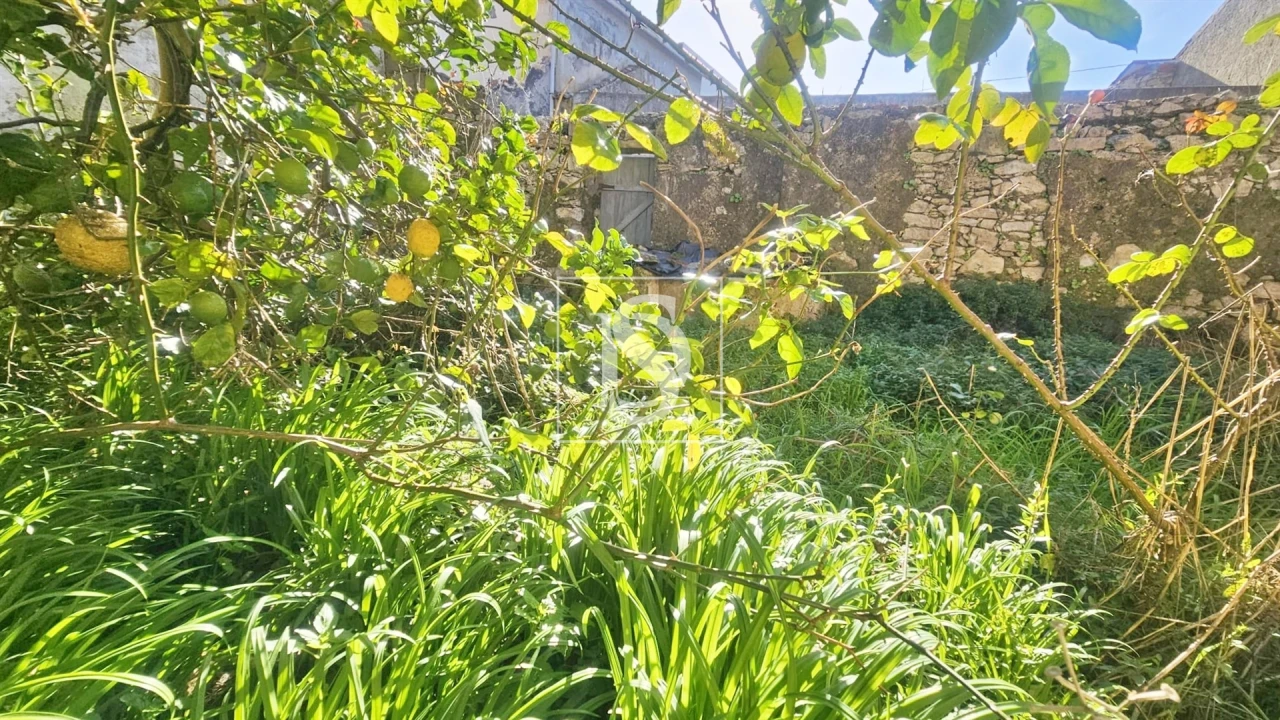 Moradia T3 para Venda em Ereira Foto 3