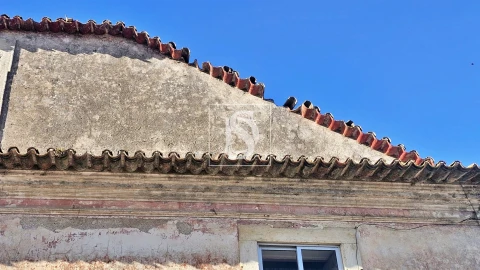 Moradia T3 para Venda em Ereira