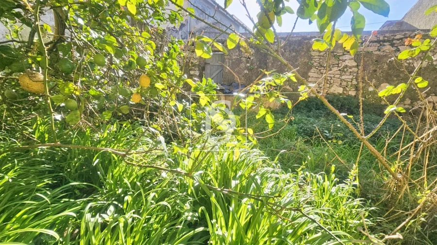 Moradia T3 para Venda em Ereira Foto 3