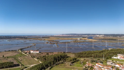 Moradia T7 para Venda em Alqueidão