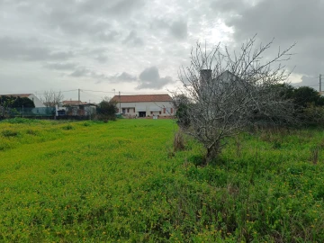 Terreno para Venda em Lavos