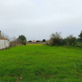 Terreno para Venda em Lavos