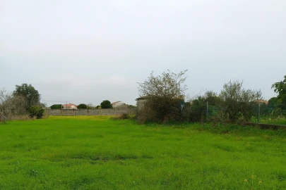 Terreno para Venda em Lavos