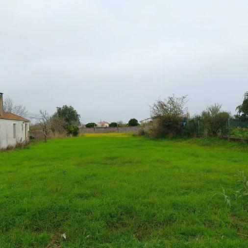 Terreno para Venda em Lavos Foto 3