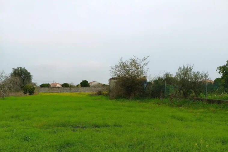 Terreno para Venda em Lavos Foto 5