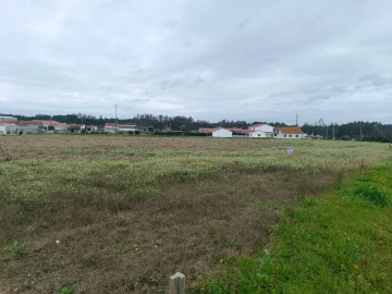 Terreno para Venda em Louriçal