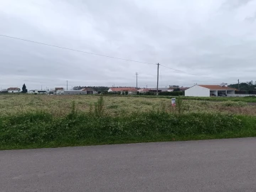 Terreno para Venda em Louriçal