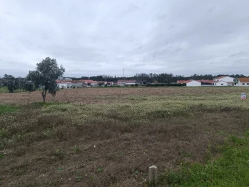 Terreno para Venda em Louriçal