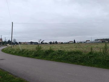 Terreno para Venda em Louriçal