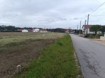 Terreno para Venda em Louriçal
