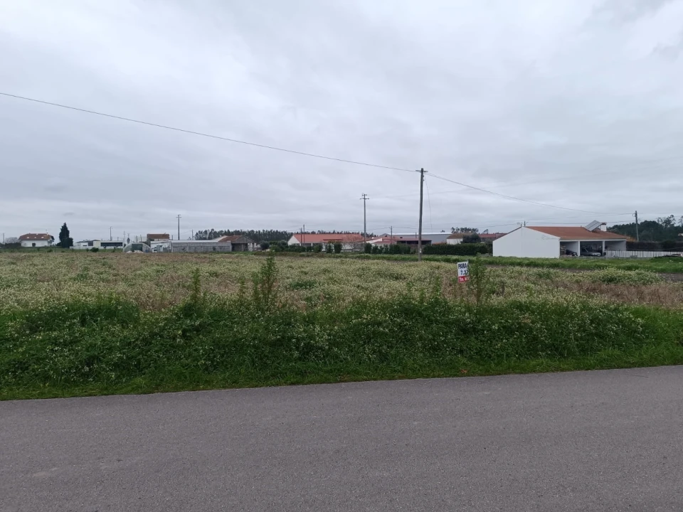 Terreno para Venda em Louriçal Foto 4