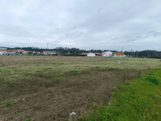 Terreno para Venda em Louriçal Foto 6