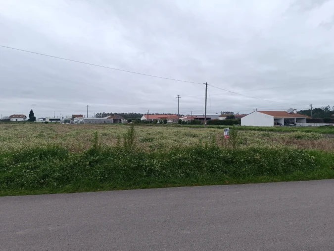Terreno para Venda em Louriçal Foto 4