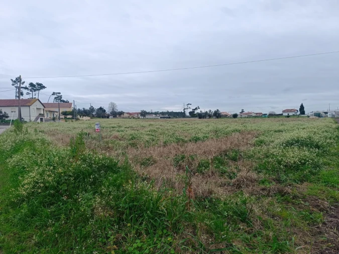Terreno para Venda em Louriçal Foto 3
