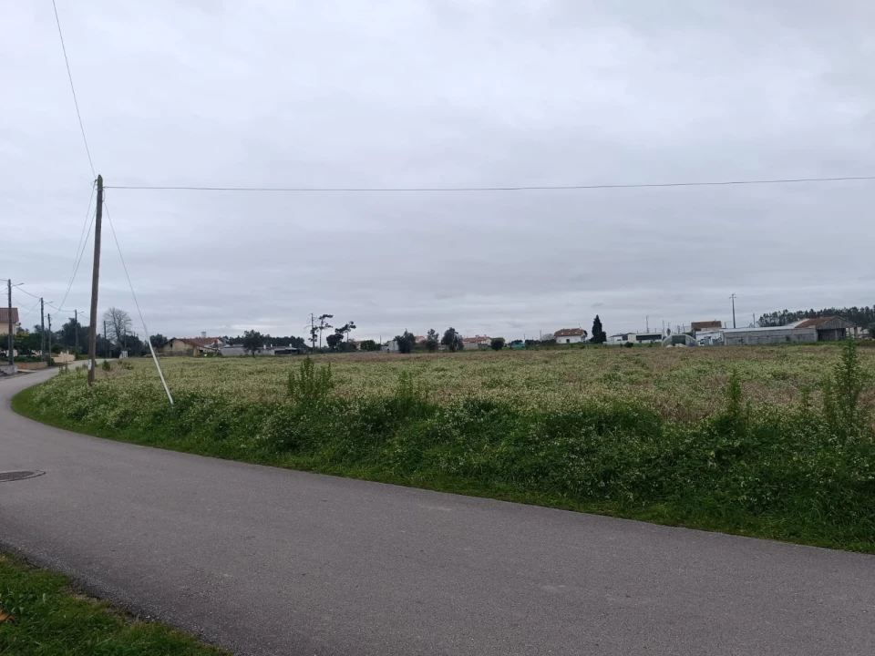 Terreno para Venda em Louriçal Foto 5