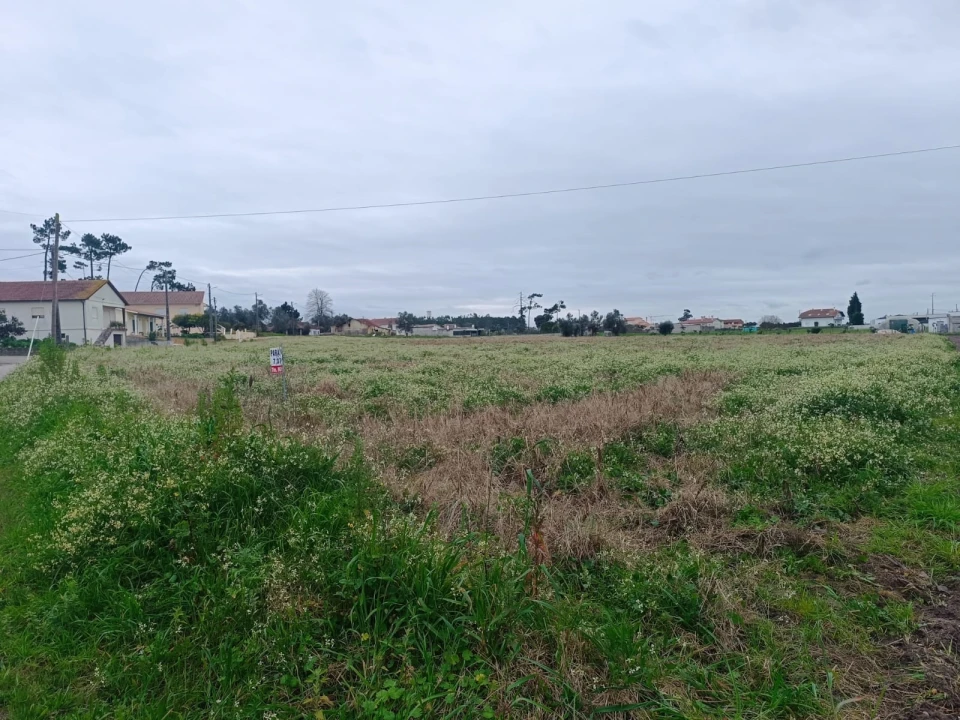 Terreno para Venda em Louriçal Foto 3