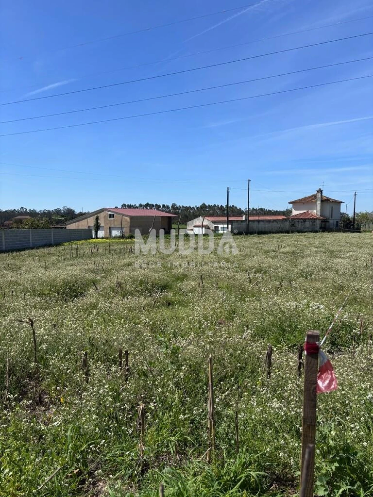 Terreno para Venda em Loureiro Foto 34