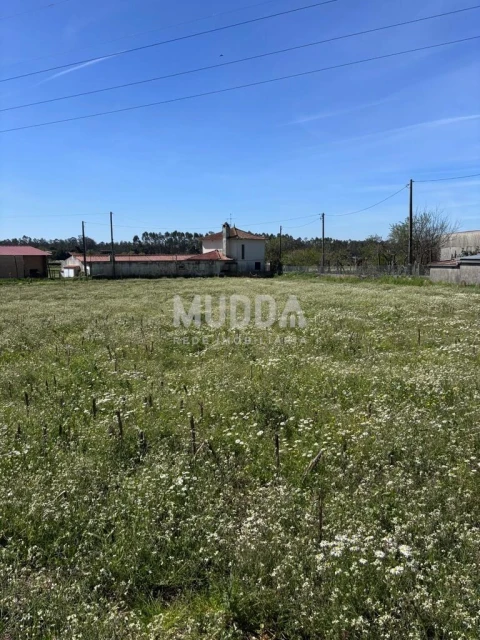 Terreno para Venda em Loureiro