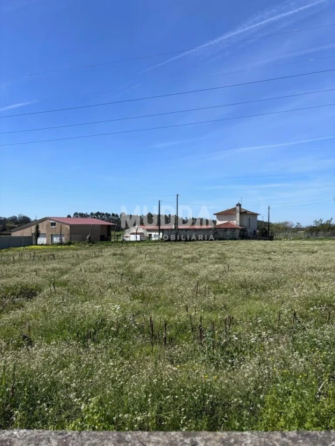 Terreno para Venda em Loureiro