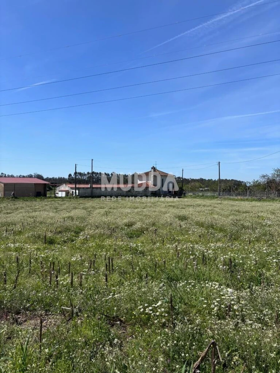 Terreno para Venda em Loureiro Foto 32