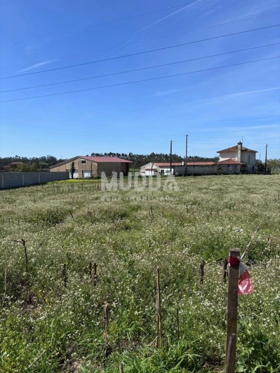 Terreno para Venda em Loureiro Foto 34