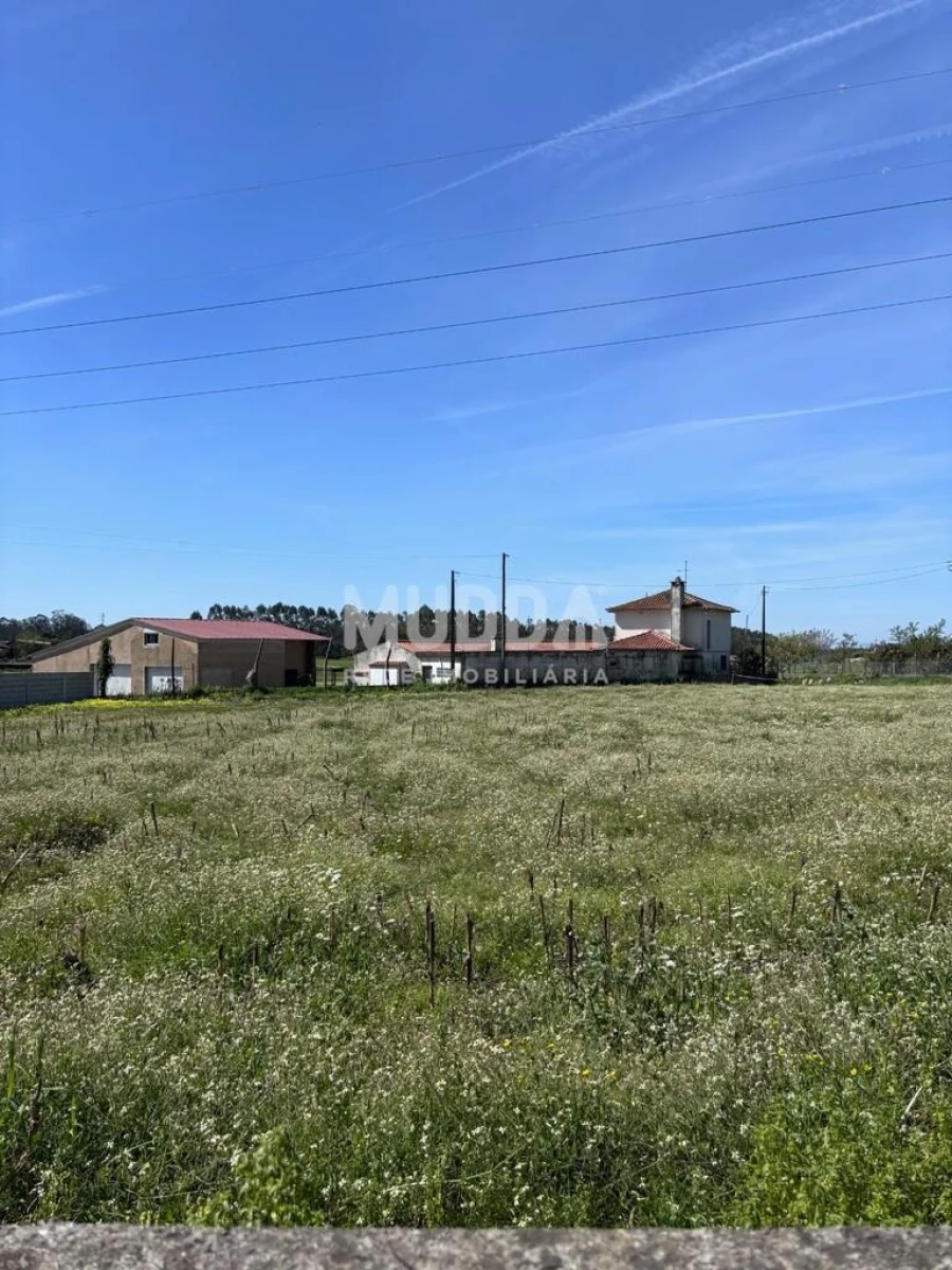 Terreno para Venda em Loureiro Foto 33
