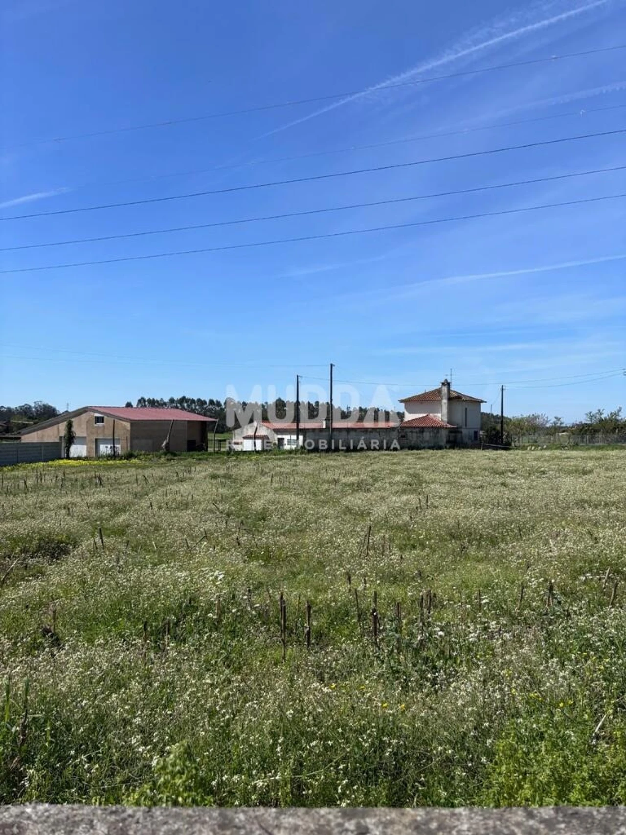 Terreno para Venda em Loureiro Foto 33